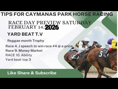 Race Day Preview Saturday, February 14.2026 | Yard Beat T.V 