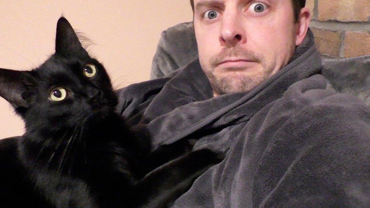 What Cat People Do When It's Cold Outside