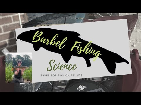 The Science Behind Barbel Fishing with Pellets - Three Top Tips