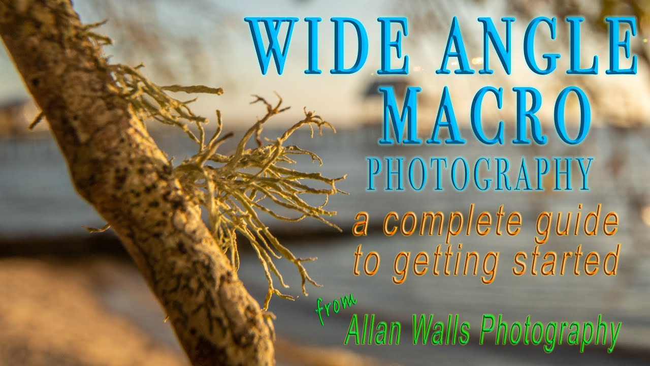 Wide Angle Macro Photography - a complete guide