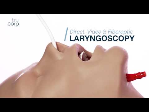 AirSim Combo X | Airway Management Trainer | Simulaids