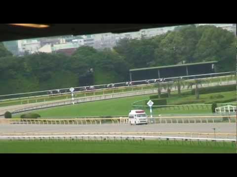 2012  安田記念　ストロングリターン YASUDA MEMORIAL STRONG RETURN