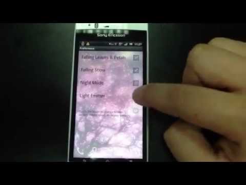 Cherry blossom LiveWallpaper Video