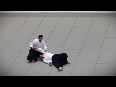 Aikido - Sugawara Shigeru Shihan - 51st All Japan Aikido Demonstration 2013 HD