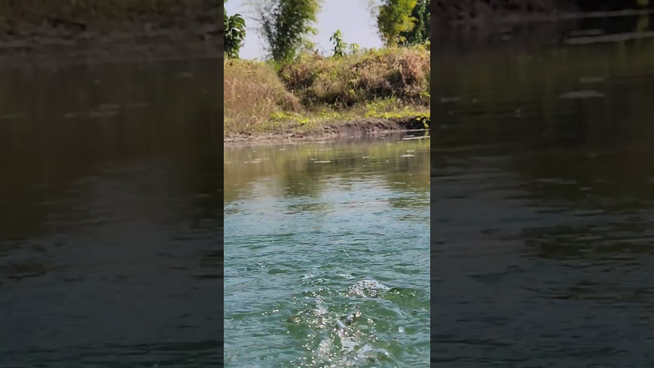 the sound of water #shorts videos