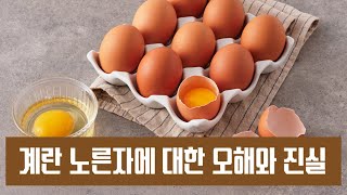 계란 노른자에 대한 오해와 진실[김대성의 아아 그렇군요]