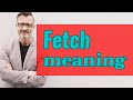 Fetch | Meaning of fetch