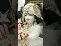 Hari Dukh Harta Hari Sukh Karta Krishna Radheradhe Radhakrishna Harerama Shorts