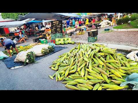 A FEIRA DE PANELAS-PE TEM MILHO E FEIJÃO MADURO À PREÇO BAIXO!
