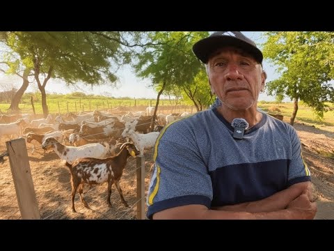 Así se VIVE en el MEDIO DEL MONTE | INCOMPARABLE | Gato Colorado - Santa Fé