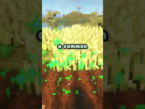 🌾Minecraft Wheat Bread Seed Farm🥖