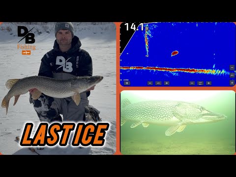 LATE ICE PIKE AND WALLEYE!
