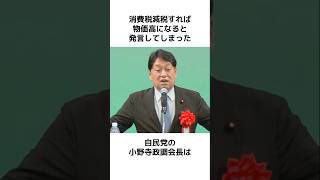 消費税減税すれば物価高になると発言してしまった自民党の末路… #政治 #日本 #shorts #消費税 #石破茂 #保険 #自民党 #財務省 #増税 #減税 #雑学 #選挙 #参議院