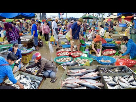 Market Distribution Fish In Phnom Penh At Chhbar Ampov Market In The Morning Scene