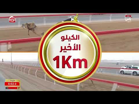 ش 3 (سكون) لـ محمد عتيق المقعودي الفلاسي 6:28:46 ، مهرجان العين 2026/08/08 ثنايا الروضة