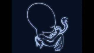 Sigur Rós - Flugufrelsarinn