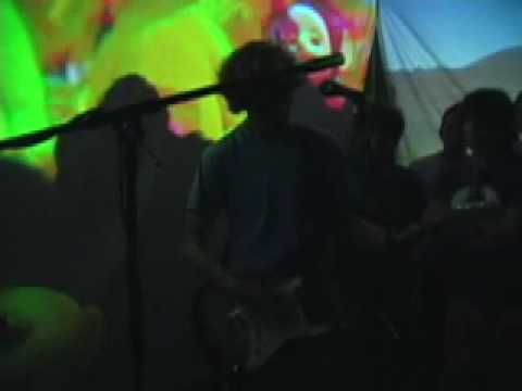 Video Hippos - Live at Whartscape 2007