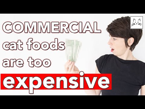 I compared the TOP 13 commercial foods vs RAW for CATS | cost = quality?
