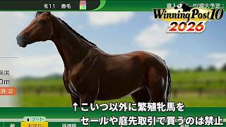 虹札の繁殖牝馬1頭さえいれば系統繫栄なんて簡単じゃね？【ウイニングポスト10 2026】【Voicevox実況】