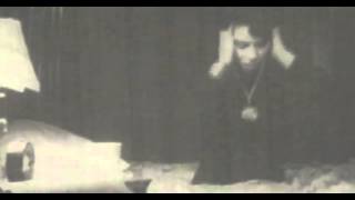 Moon Zero -  Endless Palms