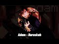 Adam - Haruskah (Lyrics Music Video)