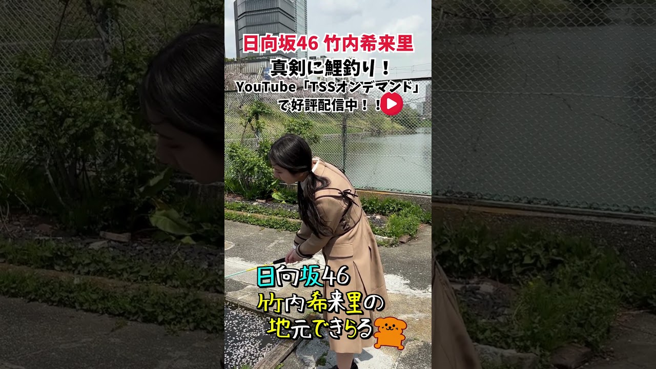 水面を真剣にのぞくきらりん🐟この動画は何も起きない5秒動画です🙇‍♀️#竹内希来里のじもきら#竹内希来里 #じもきら #日向坂46 - YouTube