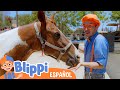 Conoce A Los Animales De La Granja Blippi Español Videos Educativos Para Niños Aprende Y Juega