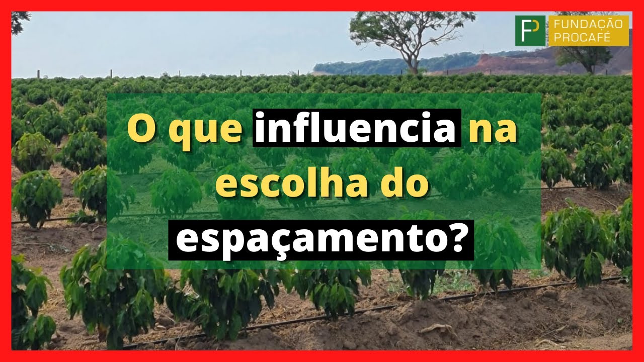 Podcast #06 - O que influencia na escolha do espaçamento?