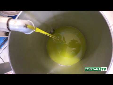 2020-11-03 TOSCANA - L'OLIO DOP TOSCANO NON TEME LA PANDEMIA