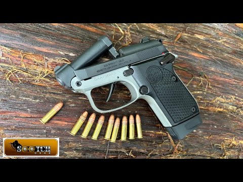 Beretta 20X Bobcat 22 LR Gun Review