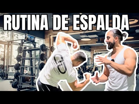 Espalda Rutina Para Principiantes