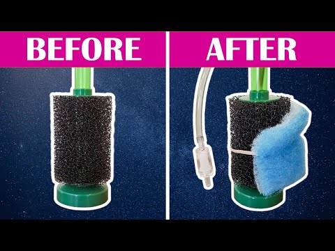5 Hacks to Make the PERFECT Sponge Filter