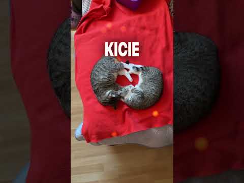 kiedy wchodzisz do pokoju i nagle... 😱 OGROMNE GRATULACJE... fantastyczny build ✨