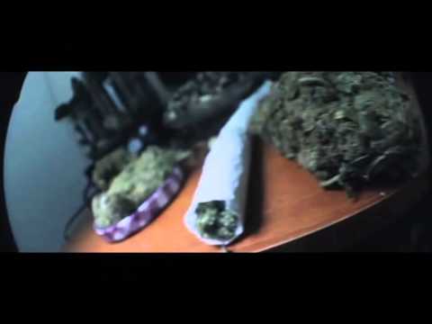 THE GUTI BRO - PURA MIERDA EDIONDA (TRAILER OFICIAL)