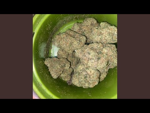 Apollo 13 (feat. PRDJECT X)