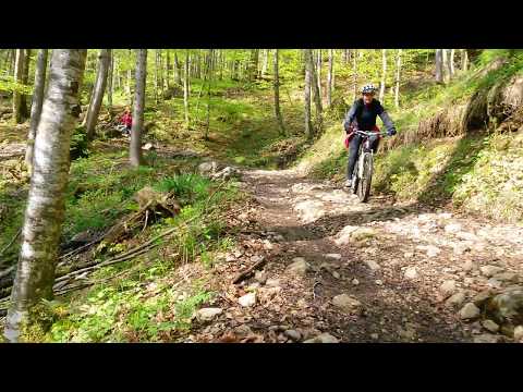 M.O.N.Z.A.M. Hirschberg MTB Gruppe