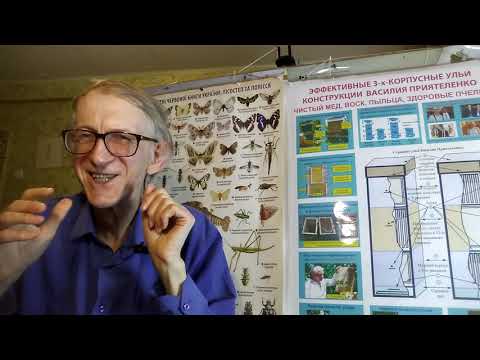 Вирусы в Пчеловодстве. Віруси в бджільництві. Viruses of Honeybees. Новости Науки. ЧАСТЬ-2.