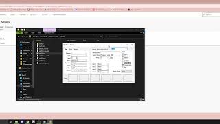[Check Description for 2023 update!] pk3DS Randomizer Tutorial (2021)