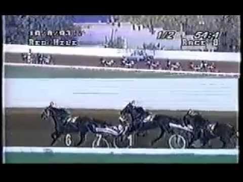 1993 Lexington Red Mile PINE CHIP Kentucky Futurity Heat 1
