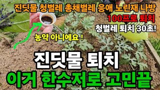 진딧물퇴치 초대박 100프로! 이거 뿌리면30초? 왜 이제야 알았지! #천연살충제 #진딧물퇴치 #벌레퇴치 #…