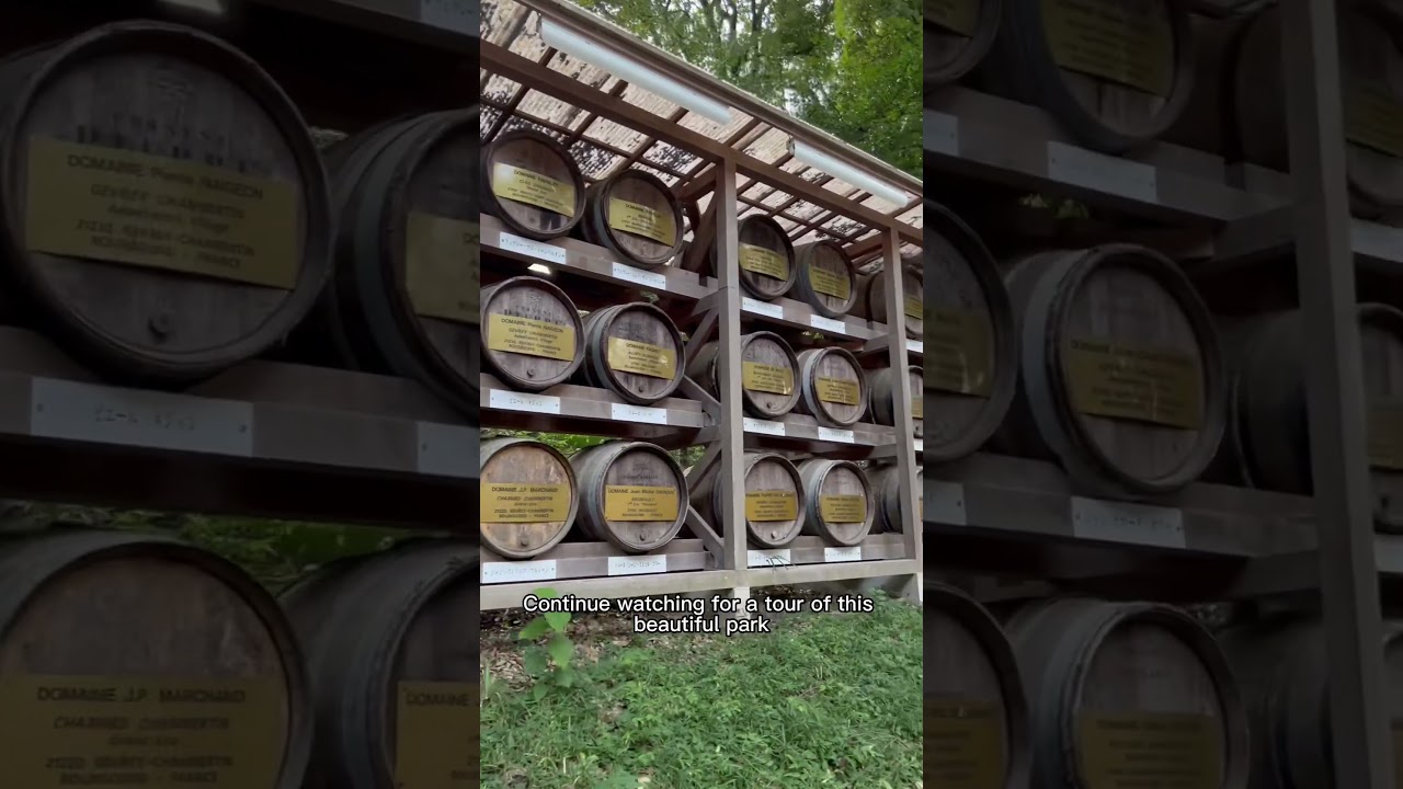 YouTube Short thumbnail