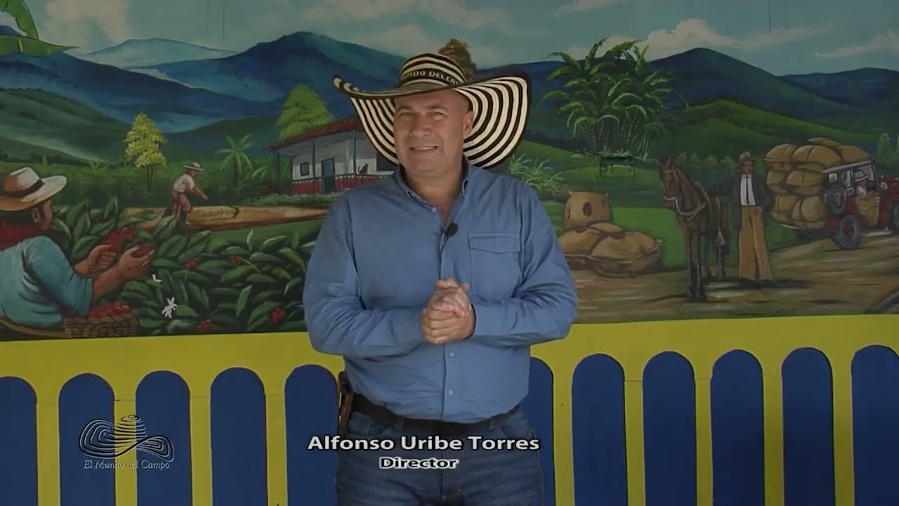 CAPITULO 1   COLINERA EL CAFETAL   ARMENIA QUINDIO