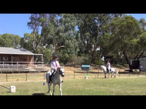 In memory of Pete ( We sold him )