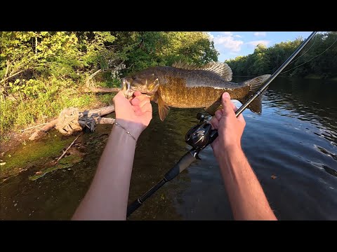 c2c lil urban river smallie on the jackall doon spinnerbait
