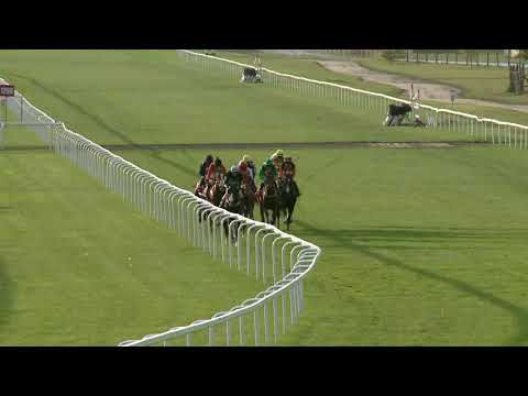 2019.10.06. 08. futam - MAGYAR ST. LEGER (HUN Gd-2) (NGL-X.)