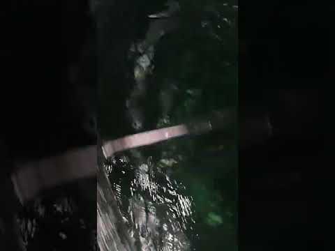 Conical Blender Machine