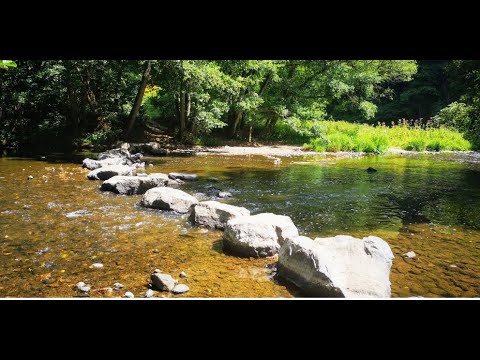 Wandern - Nister Naturpfad  Weltende - Rundwanderweg
