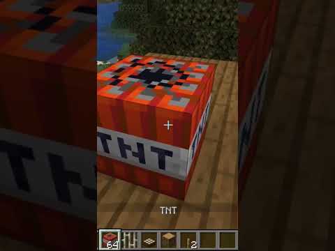 I TRAPPED WITCH WITH TIMER BOMB | MINECRAFT