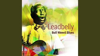 Looky Looky Yonder Black Betty Yellow Woman's Doorbells