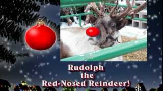HOLIDAY(Christmas) Scrapbook Dvd: Rudolph the Red-Nosed Reindeer by Neil Diamond